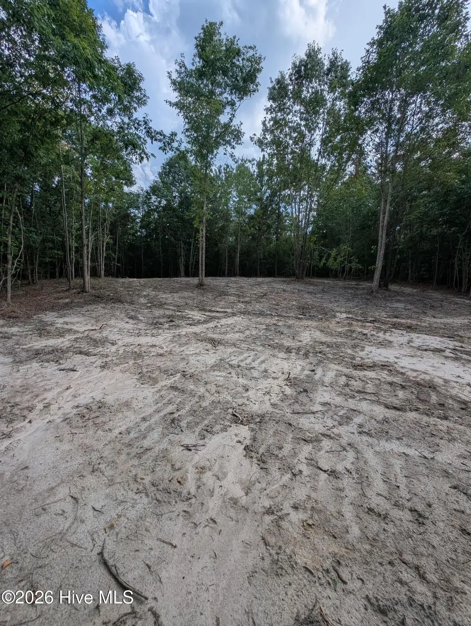 2r-4 2R-4 Peyton Drive, Eagle Springs, NC 27242 – photo 1 of 8: 2R-4 clearing