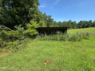 615 Summit Street, Carthage, NC 28327 – photo 12: old run in shed