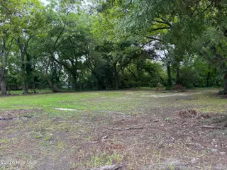 121 Pettigrew Street S, Wilson, NC 27893 – photo 5: Vacant Lot