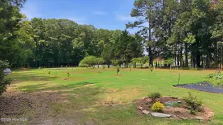 5349 A Pridgen Road, Elm City, NC 27822 – photo 12: Side yard