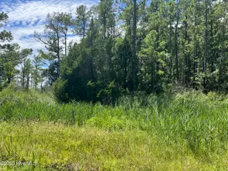 9918 Canady Landing Road, Aurora, NC 27806 – photo 6: IMG_4660