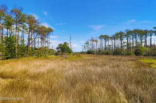 530 Freedom Park Road, Beaufort, NC 28516 – photo 6: 530 Freedom Park Rd