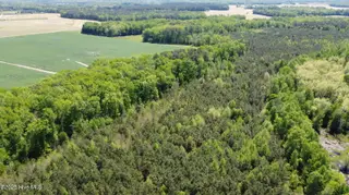 Off Speights Chapel Road, Whitakers, NC 27891 – photo 18: DJI_0587