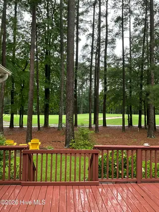 312 Cypress Landing Trail, Chocowinity, NC 27817 – photo 11: IMG_2549