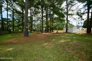 4530 Dewfield Drive N, Wilson, NC 27896 – photo 11: 4530 Dewfield - Backyard2