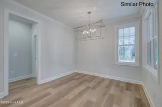100 N Alena Court, Hampstead, NC 28443 – photo 17: 413NWildIndigoEdit-29