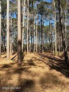 8 8 Pitch Kettle Court, Belhaven, NC 27810 – photo 8: small_photo (5)