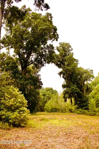 385 Sand Ridge Road, New Bern, NC 28560 – photo 23: IMG_4510