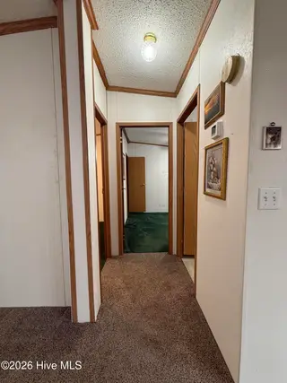 108 Richfield Court, Vass, NC 28394 – photo 19: IMG_4815