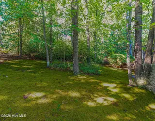 13 Village In The Woods Circle, Southern Pines, NC 28387 – photo 15: backyard5