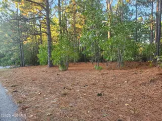 4 Brassie Circle, Jackson Springs, NC 27281 – photo 3: IMG_20251020_190956 (2)