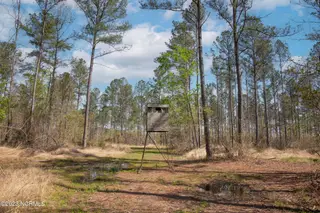 0 Nc-903, Stokes, NC 27884 – photo 12: Stokes Tract 25