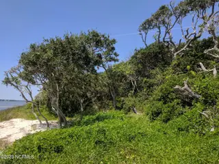4310 Emerald Drive, Emerald Isle, NC 28594 – photo 8: 3249256216812105766