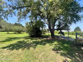 2504 Thomas Langston Road, Winterville, NC 28590 – photo 24: listing_23