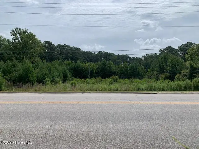Tbd Near 911 Hickman Road, Tabor City, NC 28463 – photo 1 of 3: IMG_6264