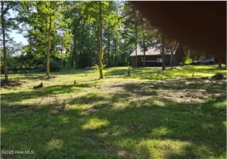 1890 Oneal Road, Whitakers, NC 27891 – photo 10: 1890 O Neal Rd