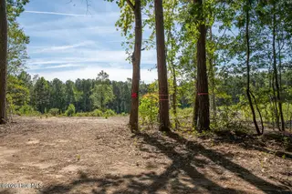 Tbd Dunhams Creek Lane, Carthage, NC 28327 — lot, Carthage, NC, photo 19 of 22