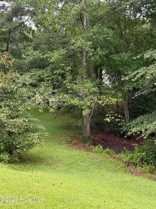 126 Deer Walk Lane, Tarboro, NC 27886 – photo 21: IMG_0269