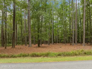 Lot 120 120 Pamlico River Drive Drive, Washington, NC 27889 – photo 2: 4-web-or-mls-19-print-DJI_0087 (1)