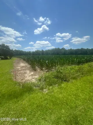 Near 721 Joe Piver Road, Chadbourn, NC 28431 – photo 12: IMG_0179