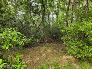 1203 34 Petite Terre Court, New Bern, NC 28560 – photo 4: 20250508_153101