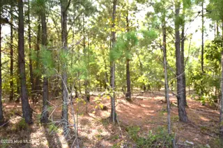 1035 Mill Road, Jackson Springs, NC 27281 – photo 1: Mill Road Jackson Springs