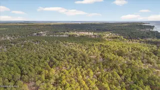 2162 Old Pamlico Beach Road W, Belhaven, NC 27810 – photo 19: 17-Finished 2162 Old Pamilco Beach Rd no