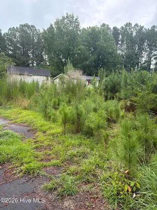 120 Deer Tract Drive, Washington, NC 27889 – photo 2: IMG_8299