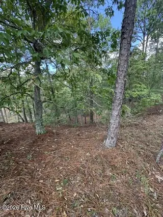 106 Parker Court, West End, NC 27376 – photo 3: 2