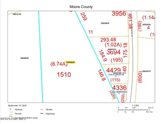 Lot 9 Flowers Road, Jackson Springs, NC 27281 – photo 2: Lot 9 Flowers Rd_9848