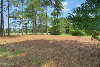 1940 Bill Hooks Road, Whiteville, NC 28472 – photo 3: Near_1940_Bill_H_003