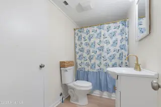 728 Warrior Trail, Whiteville, NC 28472 – photo 20: Hallway Bathroom