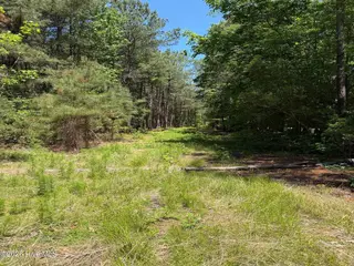 00 Tartt's Mill Road, Wilson, NC 27893 – photo 19: IMG_2573