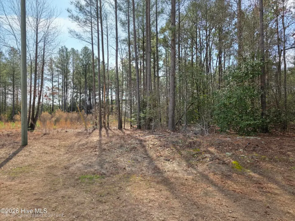 275 10 Raynor Sands Drive, Dunn, NC 28334 – photo 1 of 8: 20260306_112008(1)