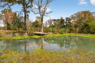 155 Haws Run Road, Jacksonville, NC 28540 – photo 16: IMG_3914
