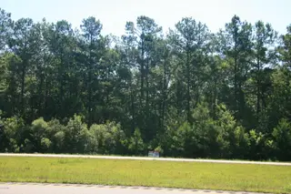 6898 Ocean Highway E, Leland, NC 28451 — lot, Leland, NC, photo 2 of 8: IMG_0201