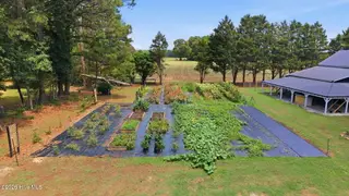 5349 A Pridgen Road, Elm City, NC 27822 – photo 14: Garden 2