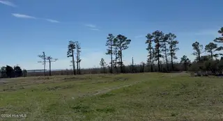 348 26 Battalina Lane, Belhaven, NC 27810 – photo 2: IMG_0931
