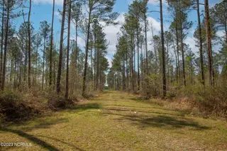 0 Nc-903, Stokes, NC 27884 – photo 23: Stokes Tract 15