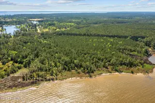 0 Sr 1726, Belhaven, NC 27810 – photo 7: 6-web-or-mls-DJI_0630