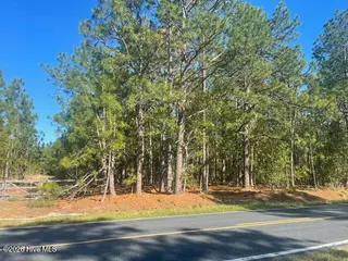 1035 Flowers Road, Jackson Springs, NC 27281 – photo 1: IMG_1953