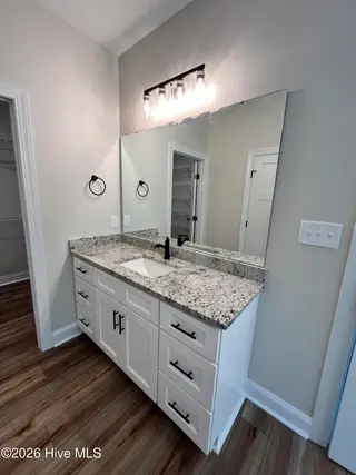 149 Wildflower Way, Pollocksville, NC 28573 – photo 16: Vanity 2