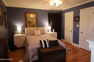 1426 Pocosin Road, Winterville, NC 28590 – photo 17: View 2 of Primary Bedroom
