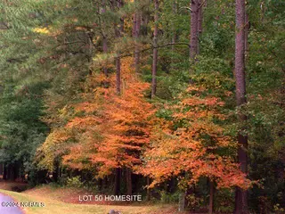 279 Mill Creek Lane, Bath, NC 27808 – photo 13: Autumn