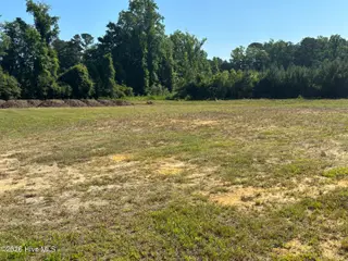 4676 Pleasant Plains Church Road, Whiteville, NC 28472 – photo 8: IMG_0835