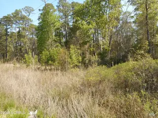 0 Highway 70, Newport, NC 28570 – photo 4: DSCN2225