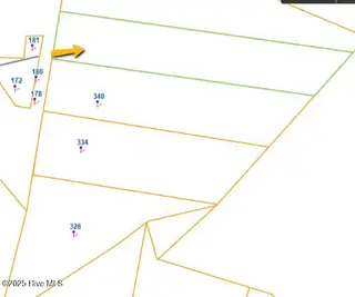 Lot B Carthage Road, West End, NC 27376 – photo 3: Baber Land