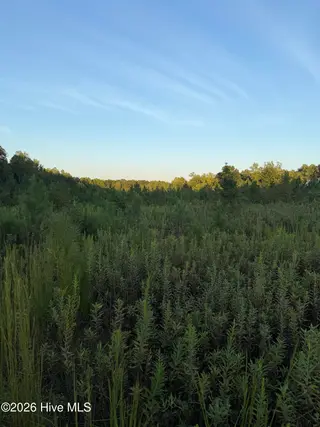12 Acres Hope Creek Trail, Spring Hope, NC 27882 — lot, Spring Hope, NC, photo 2 of 8: 12ac photo