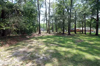 6000 River Road 1, Washington, NC 27889 – photo 6: Park like back yard
