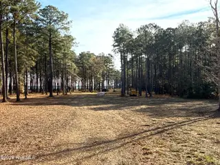 0 Norfleet Shores Road, Belhaven, NC 27810 – photo 8: IMG_0808 3